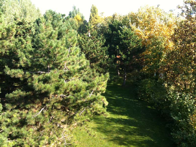 Maison de la Pêche et de la Nature_92300 LEVALLOIS-PERRET_20 Maison de la Pêche et de la Nature_92300 LEVALLOIS-PERRET_20